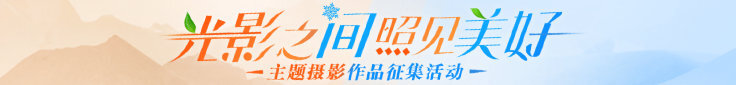 光影之間 照見美好攝影征集活動作品展示